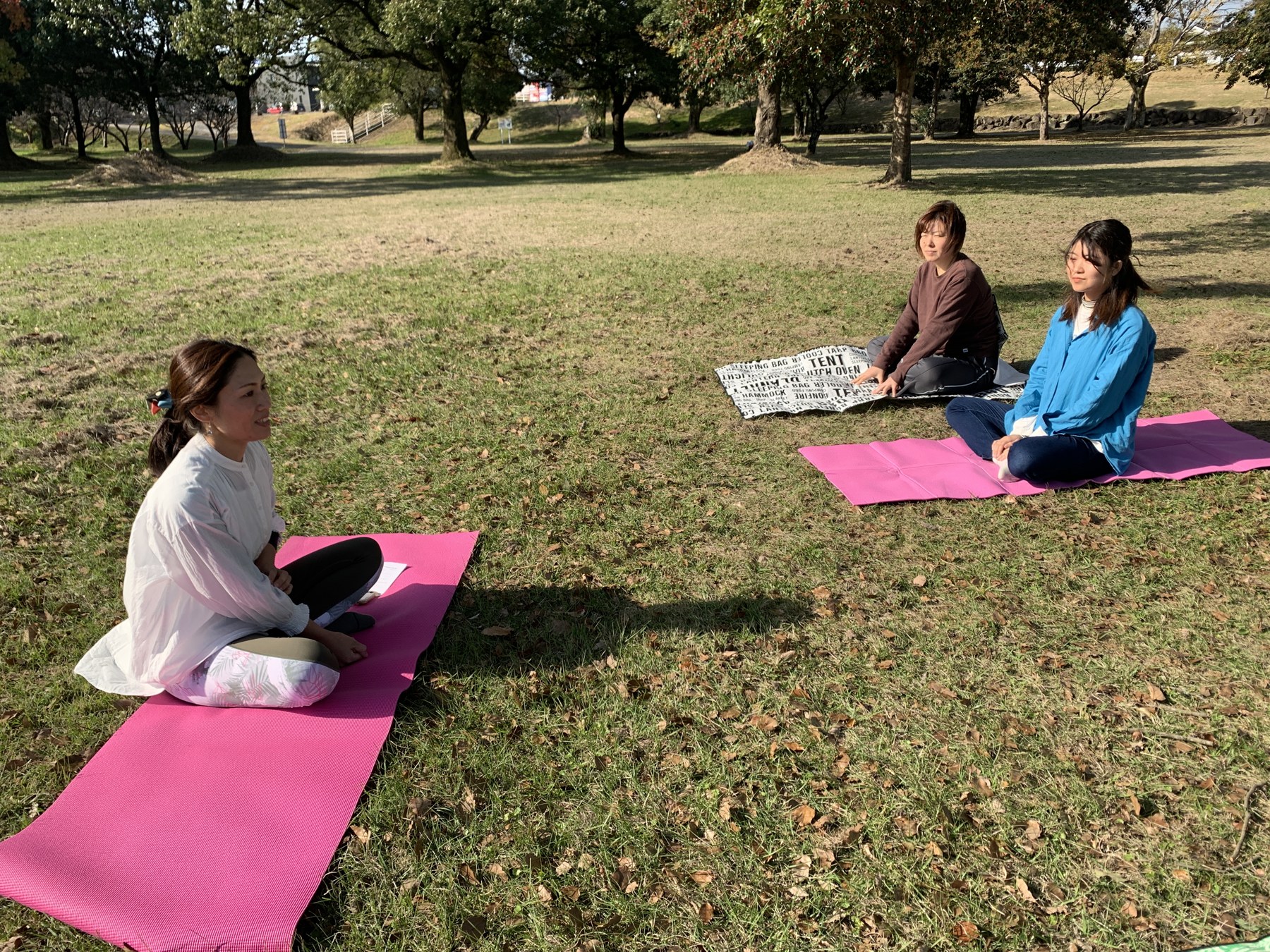 木陰でのヨガ瞑想会
